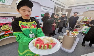 強(qiáng)化基礎(chǔ) 質(zhì)量鏈攜手全國首家農(nóng)業(yè)品牌創(chuàng)意體驗港 共建農(nóng)產(chǎn)品質(zhì)量鏈