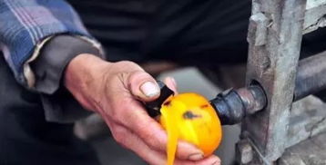 鄉(xiāng)村旅游規(guī)劃設(shè)計 賺取農(nóng)業(yè)行業(yè)90%收入的初級農(nóng)產(chǎn)品模式探索